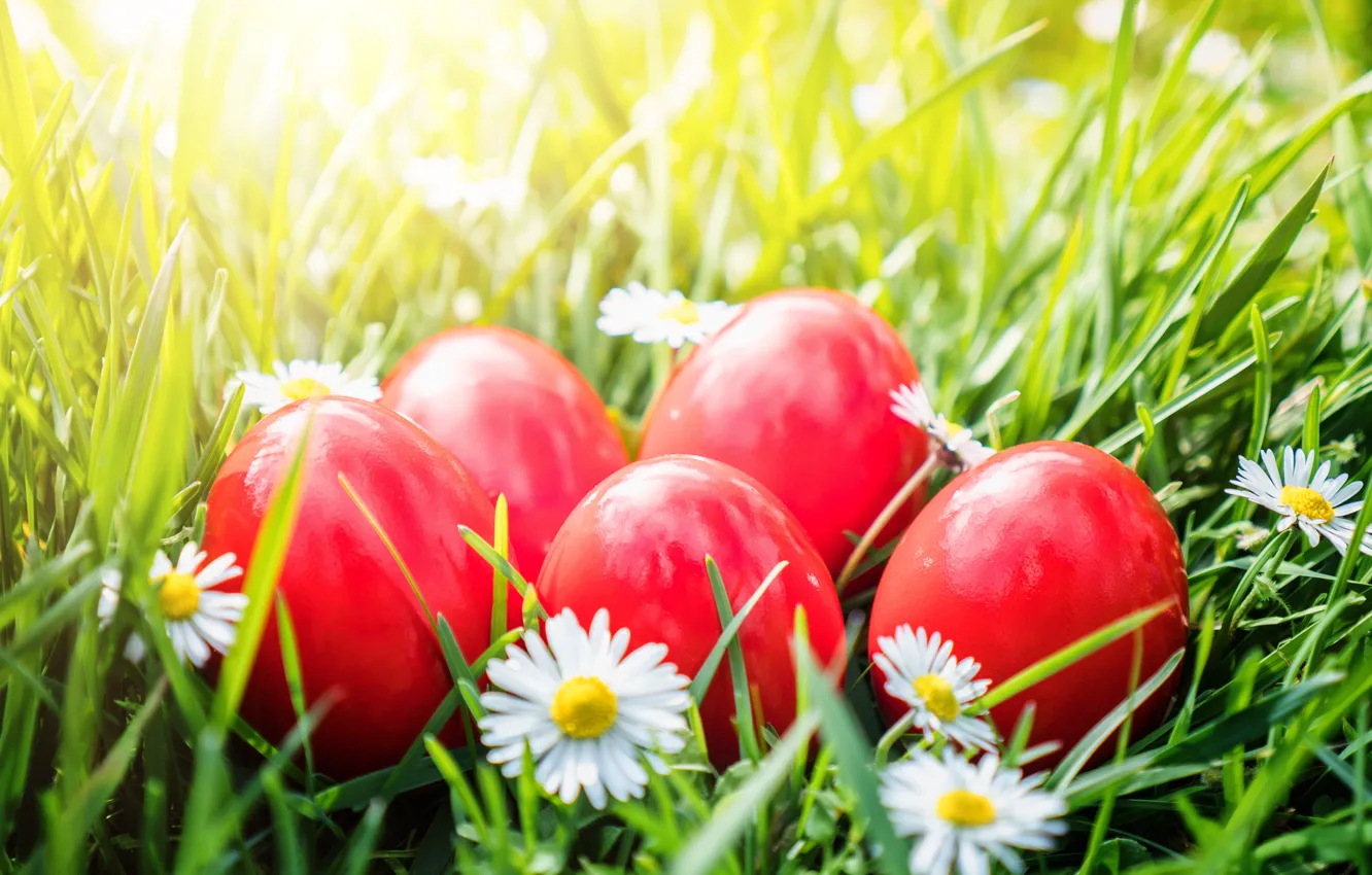 Photo wallpaper grass, flowers, basket, Easter, flowers, spring, Easter, eggs