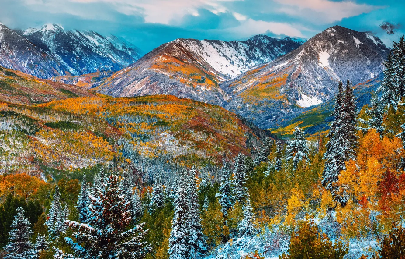 Photo wallpaper autumn, forest, snow, trees, mountains