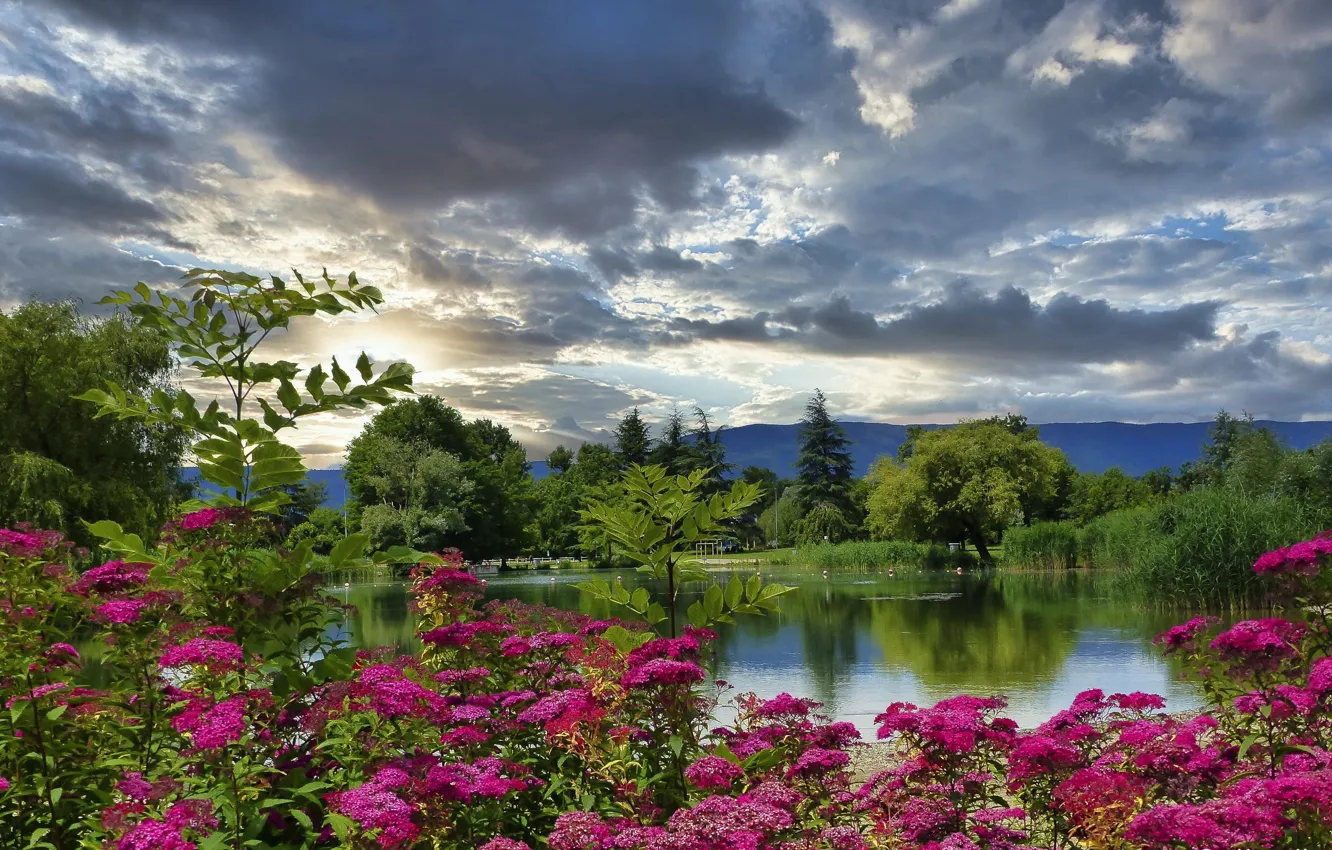 Photo wallpaper grass, clouds, landscape, mountains, nature, pond, the bushes