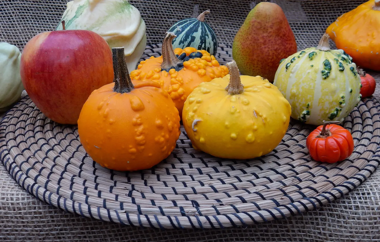 Photo wallpaper autumn, widescreen, harvest, pumpkin, exhibition, wallpaper, widescreen, background