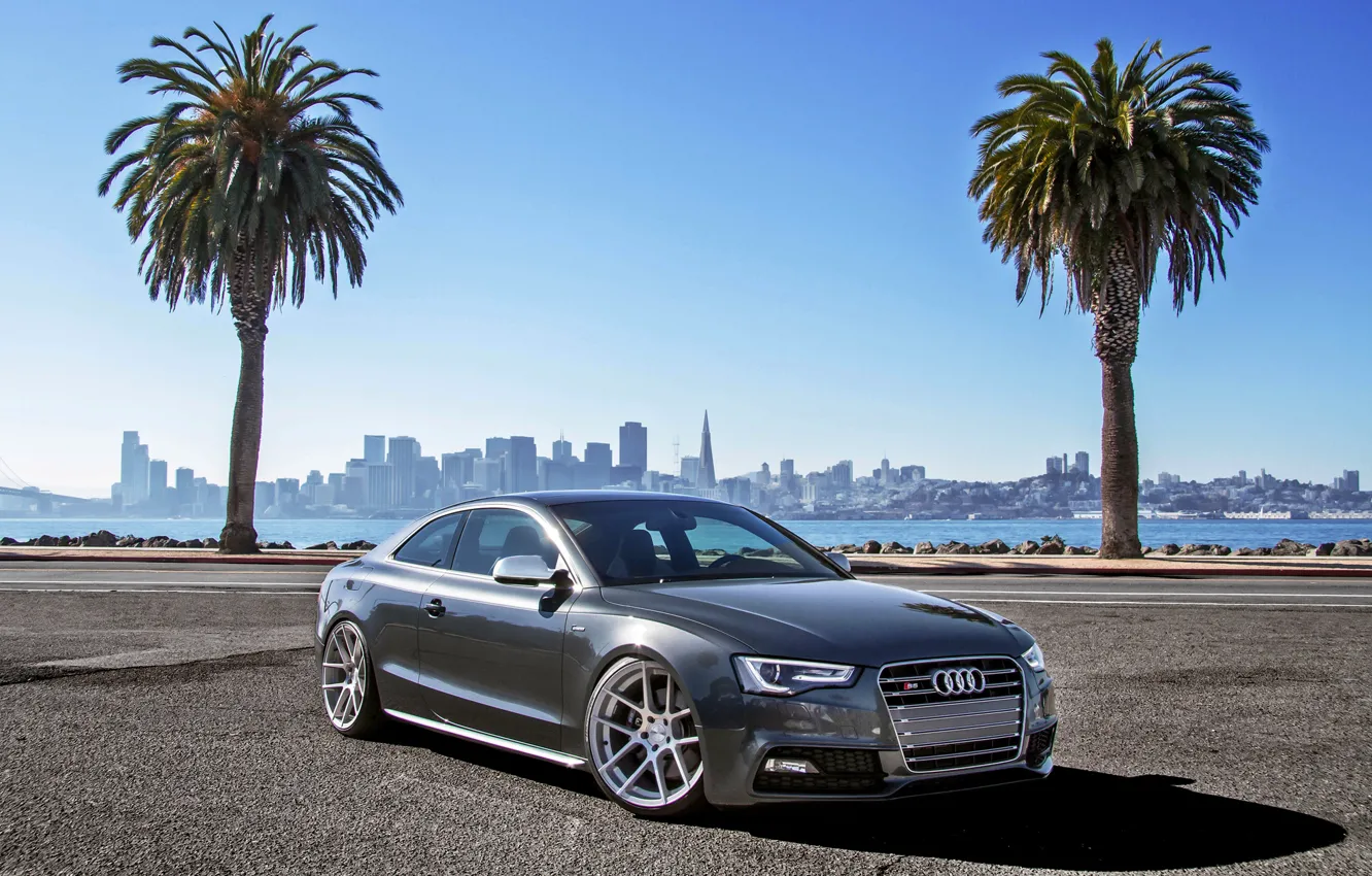 Photo wallpaper palm trees, Audi, Audi, coupe, sports car