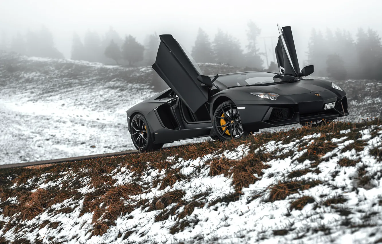 Photo wallpaper Lamborghini, Black, Snow, LP700-4, Aventador, Road, Supercar, Fog