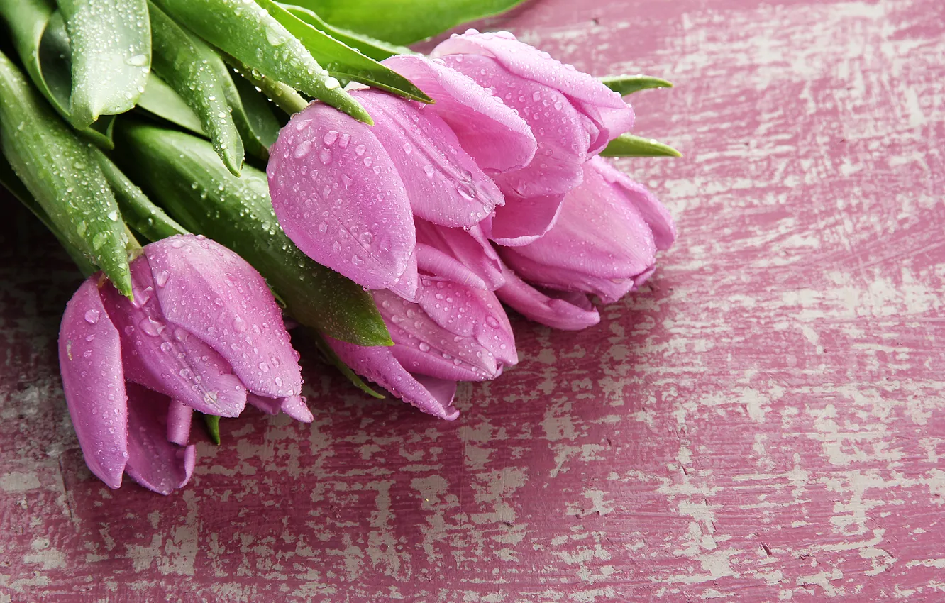 Photo wallpaper flowers, bouquet, tulips, wood, pink, flowers, tulips, spring