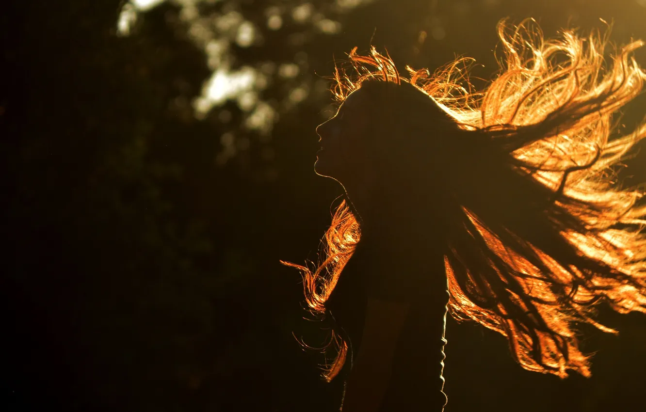 Photo wallpaper girl, hair, silhouette