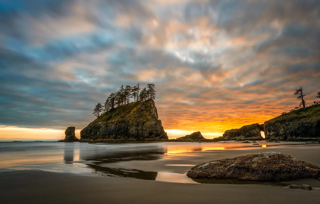 Photo wallpaper sand, beach, trees, rock, the ocean, dawn, Washington, Olympic National Park