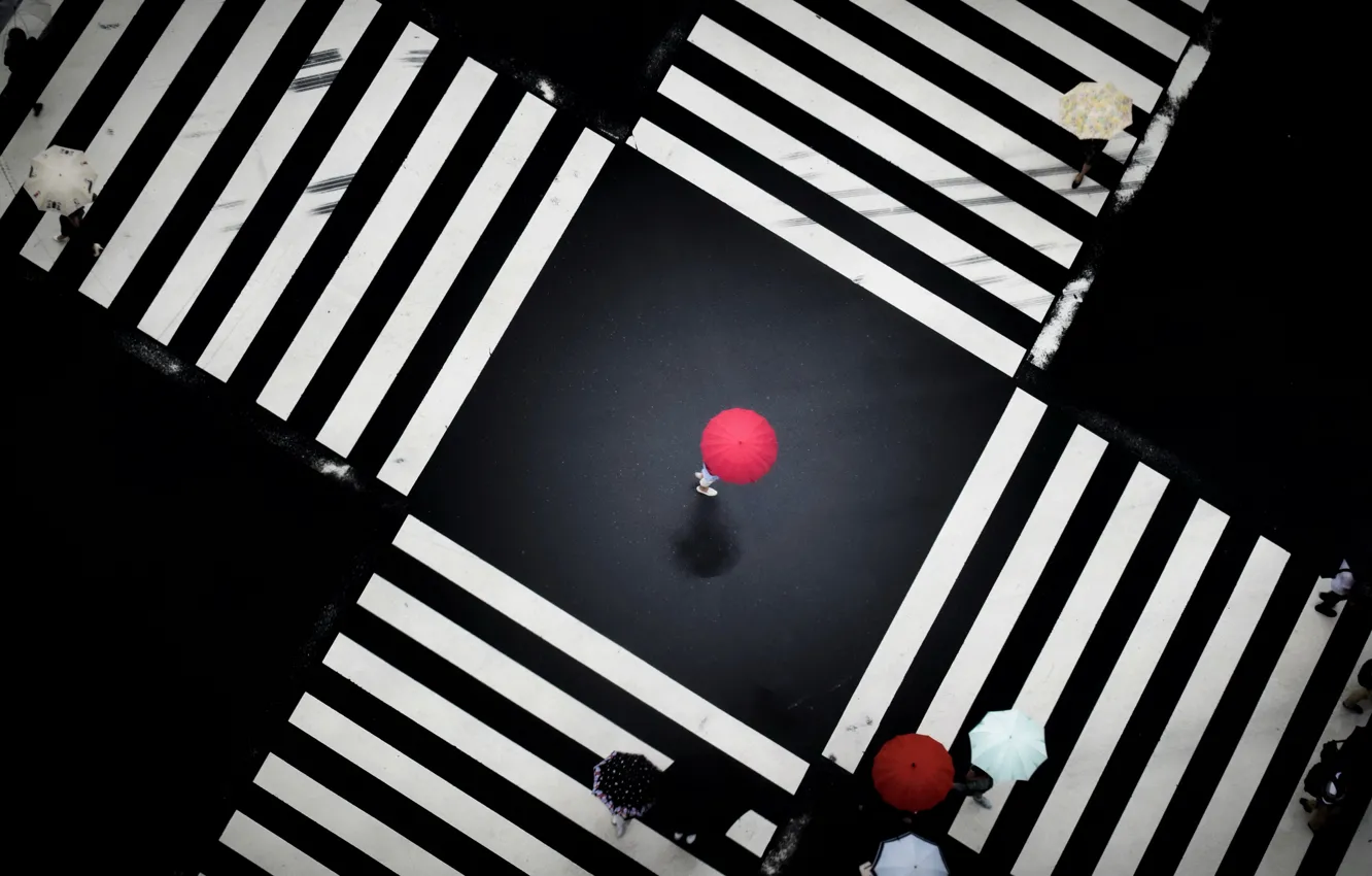 Photo wallpaper the city, street, pedestrian crossings