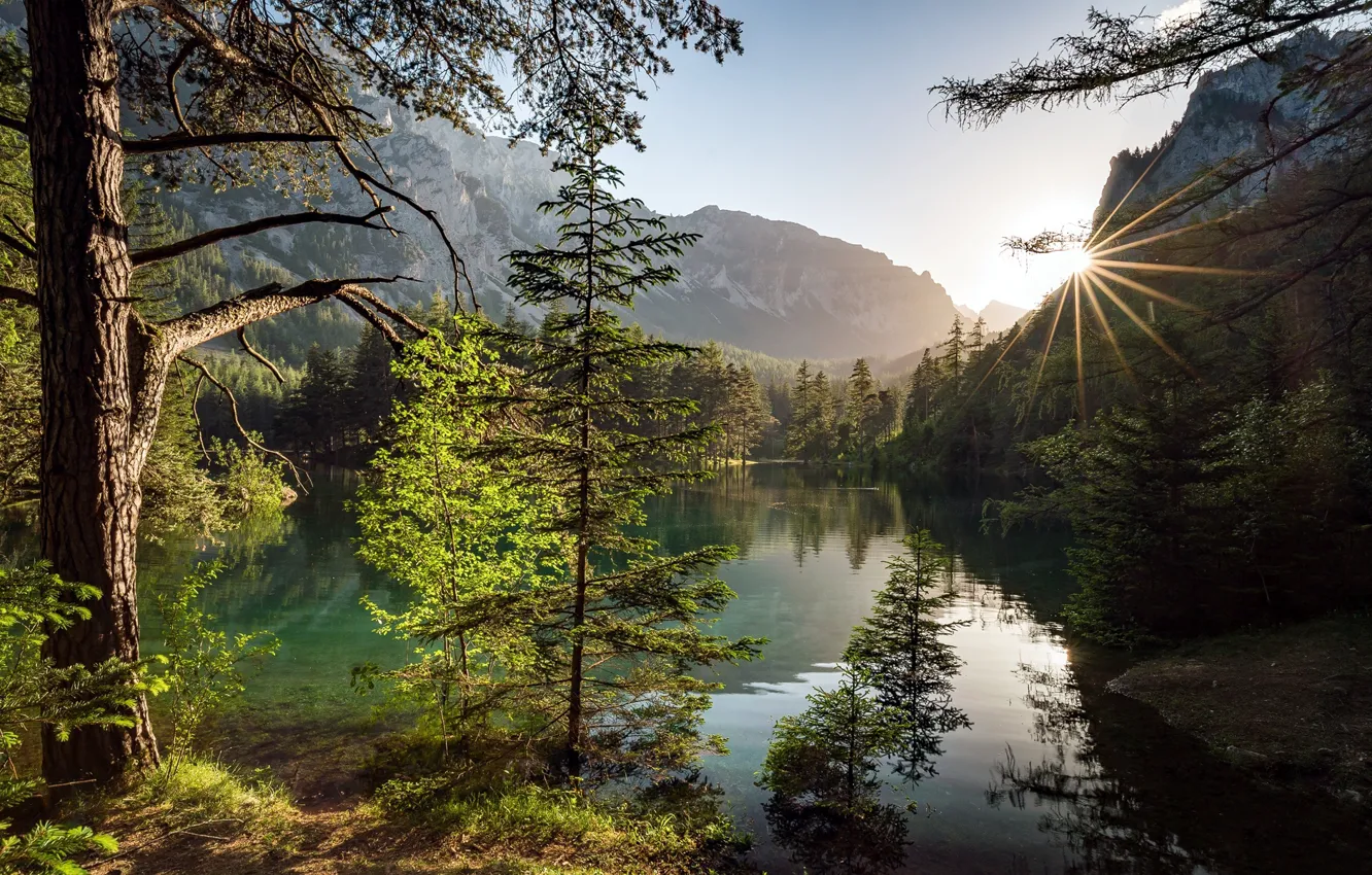 Photo wallpaper trees, mountains, lake, Austria, Austria, Alps, Styria, Green Lake