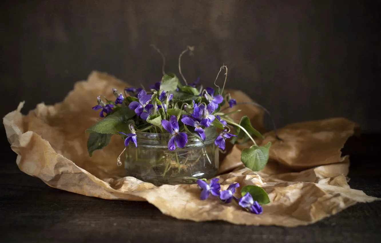 Photo wallpaper leaves, drops, flowers, paper, Bank, still life, Pansy, field