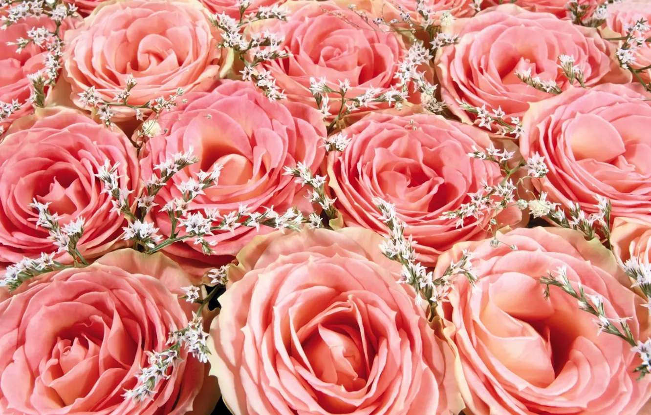 Photo wallpaper roses, bouquet, pink roses