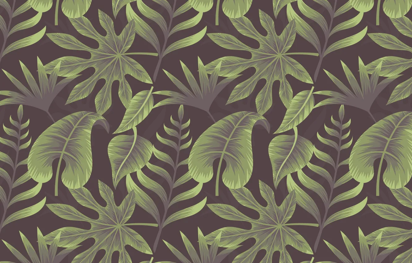 Photo wallpaper background, texture, background, Leaves, Tropical, Plant