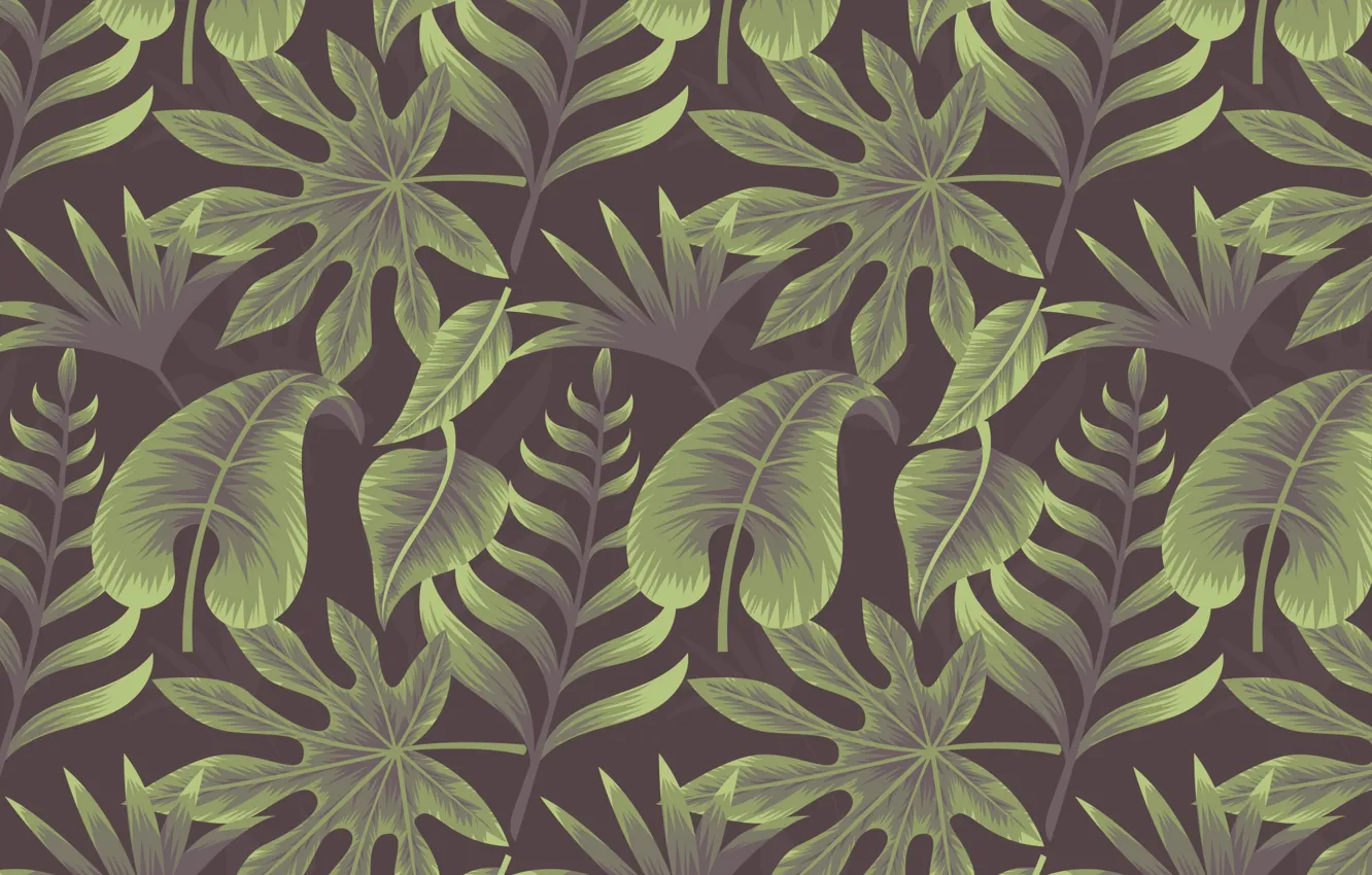 Photo wallpaper background, texture, background, leaves, plant, tropical