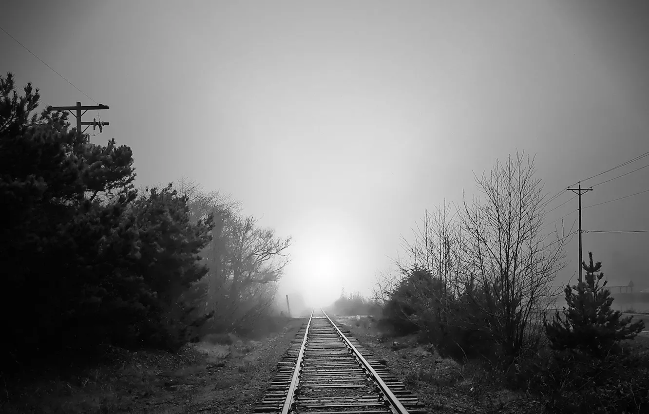 Photo wallpaper road, fog, Black and white, iron, 157