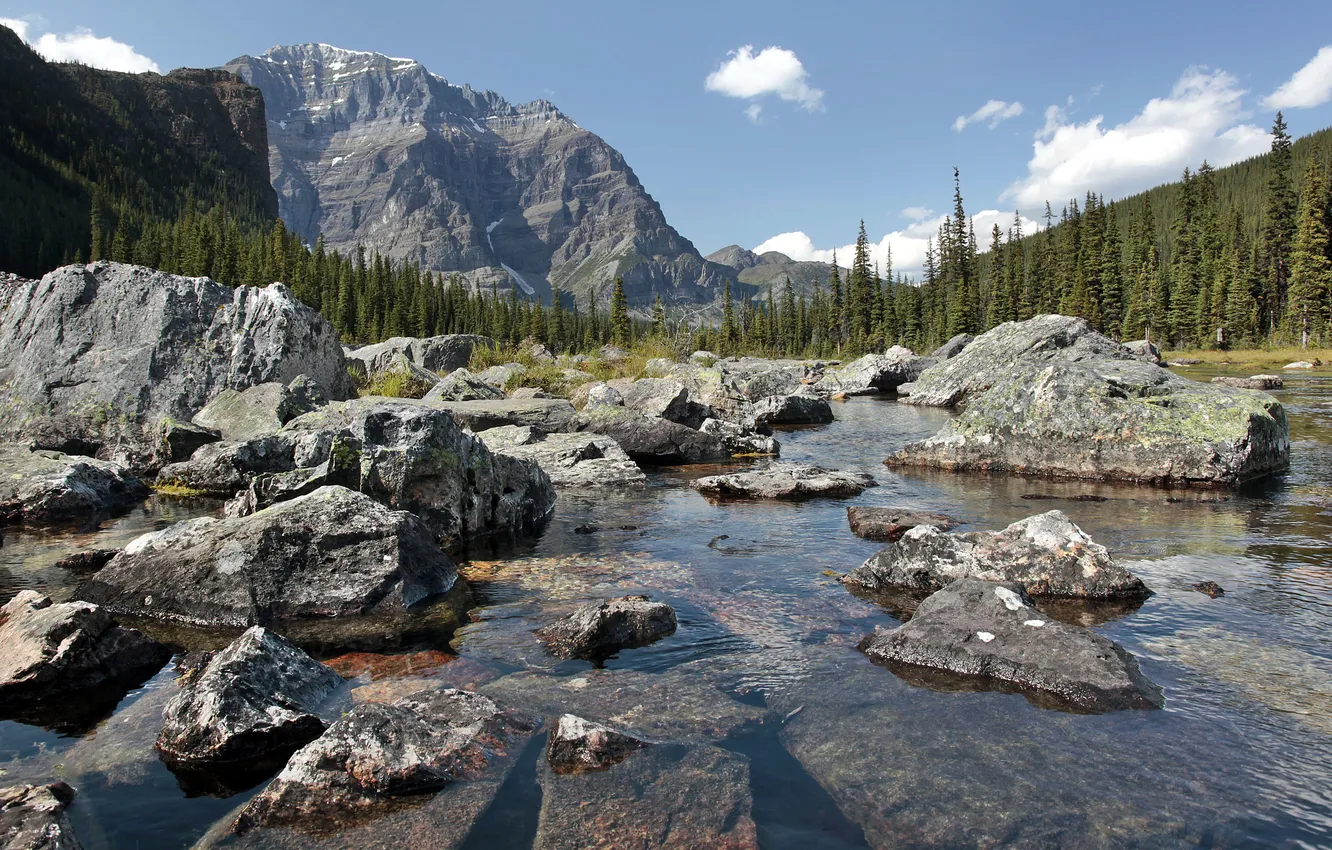 Photo wallpaper forest, the sky, trees, mountains, lake, stones, rocks, Canada