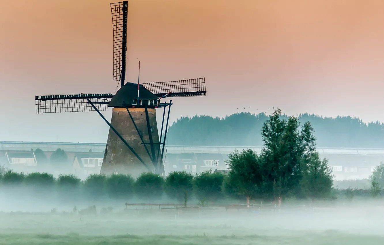 Photo wallpaper trees, fog, morning, mill, wind