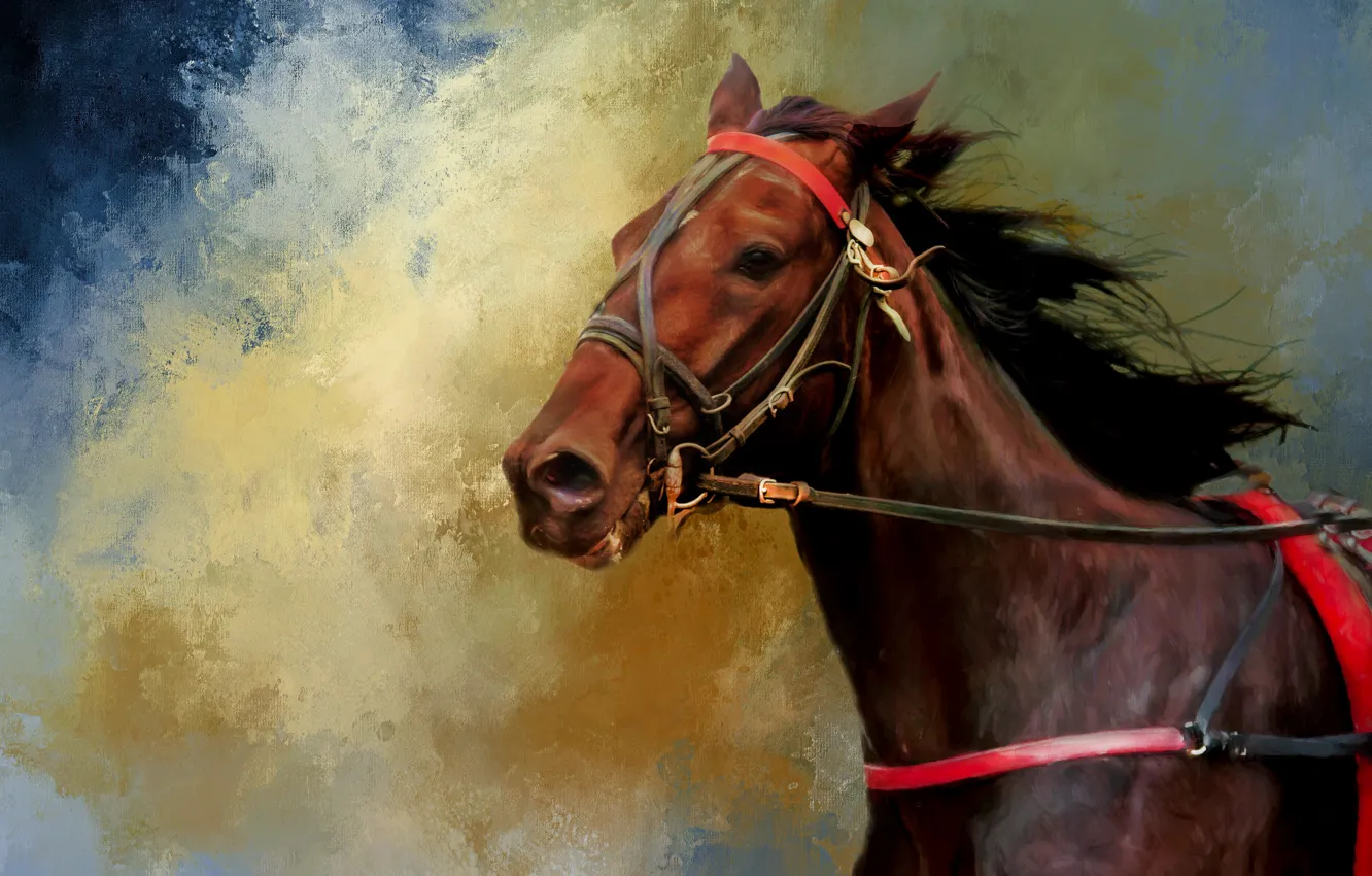 Photo wallpaper horse, horse, portrait