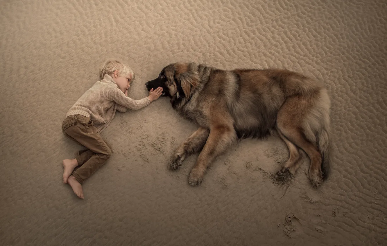 Photo wallpaper sand, dog, boy, friendship, friends