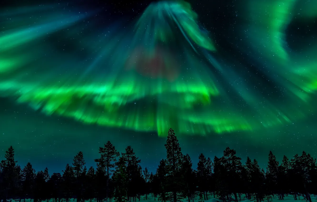 Photo wallpaper forest, the sky, stars, night, Northern lights