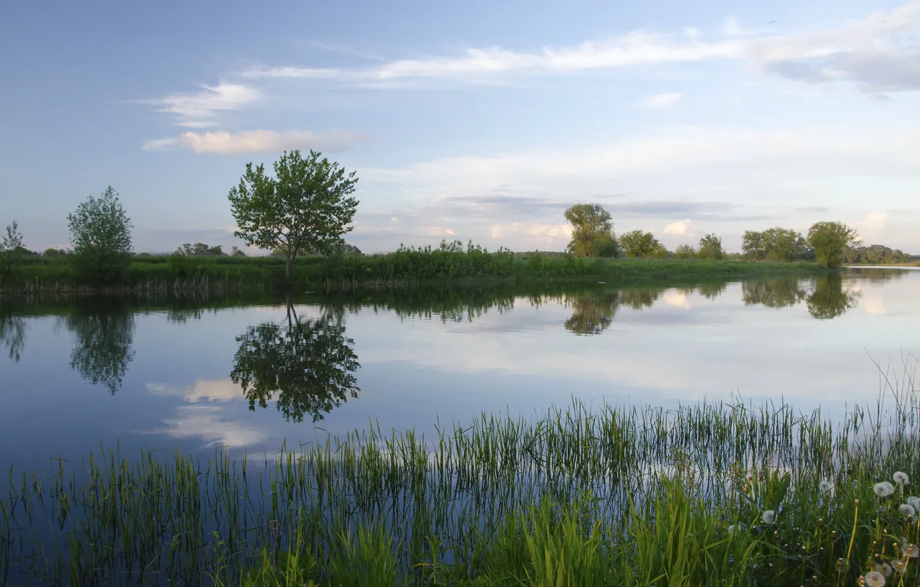 Photo wallpaper summer, the sky, grass, water, lake, reflection, river