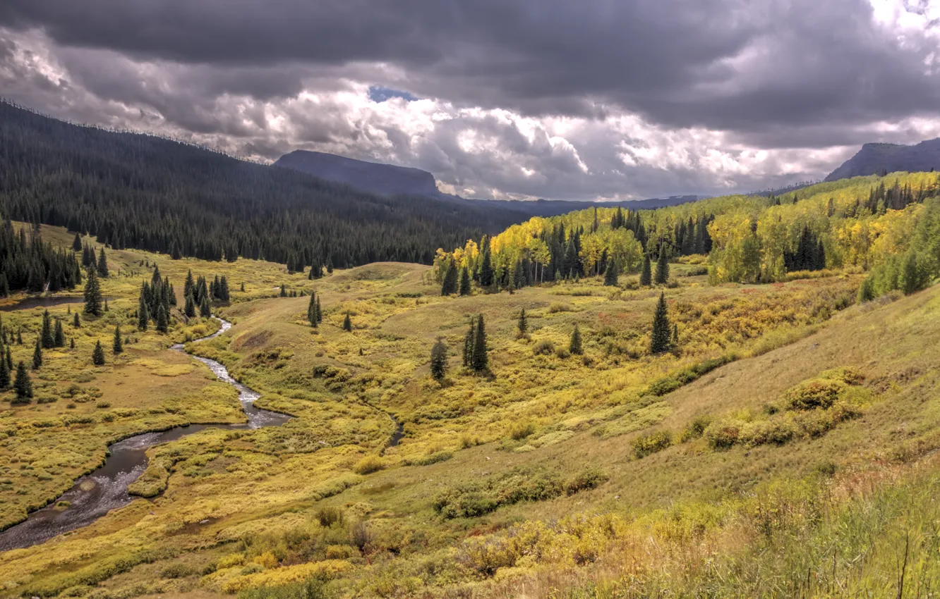 Photo wallpaper forest, mountains, nature, river, overcast, valley, valley, Bear river