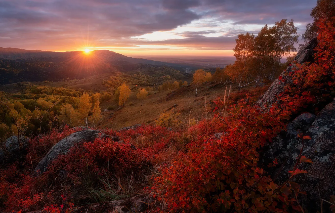 Photo wallpaper autumn, the sun, rays, trees, landscape, sunset, mountains, nature