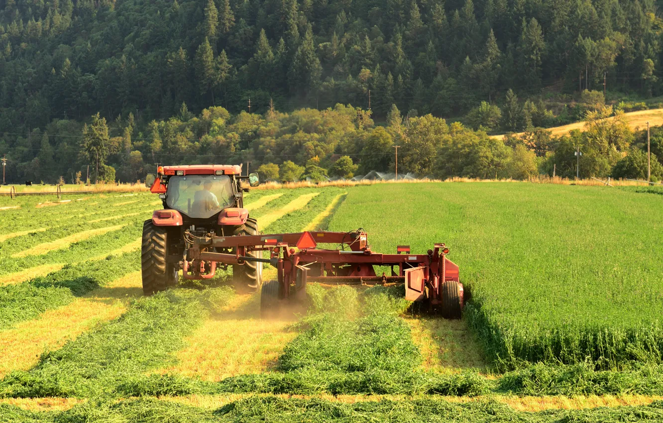 Photo wallpaper field, forest, mountains, nature, work, harvest, cleaning, male