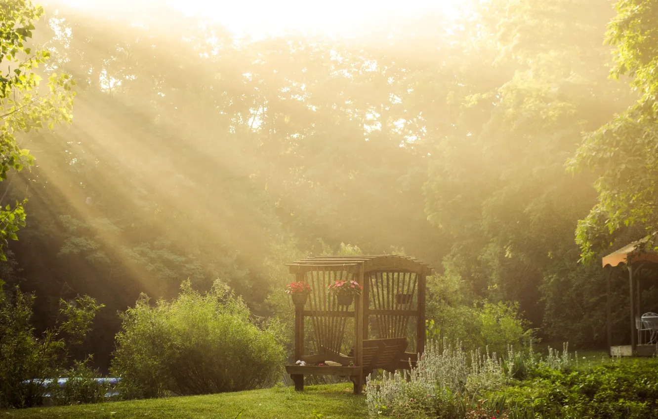 Photo wallpaper greens, trees, flowers, Nature, bench, the sun's rays