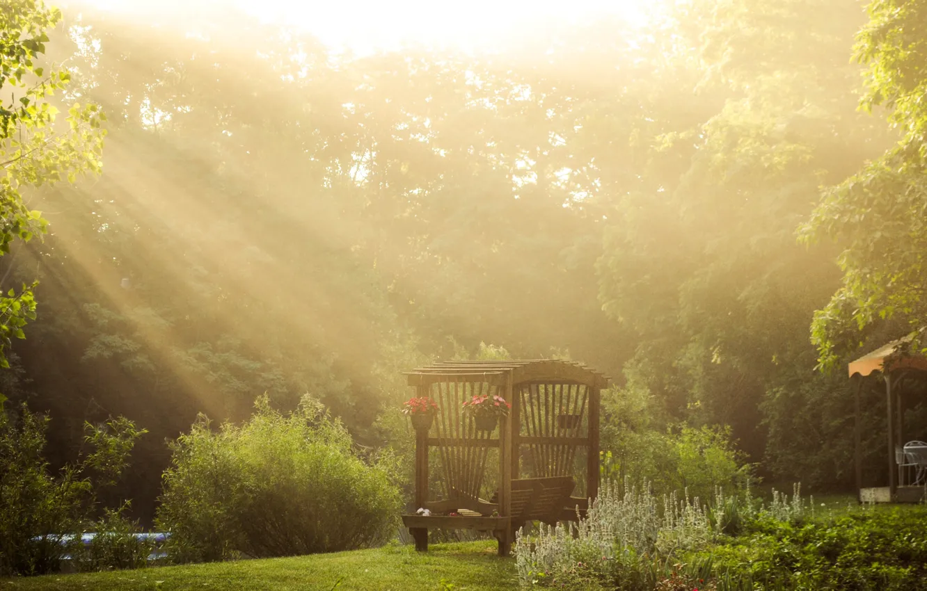 Photo wallpaper greens, trees, flowers, nature, bench, the sun's rays