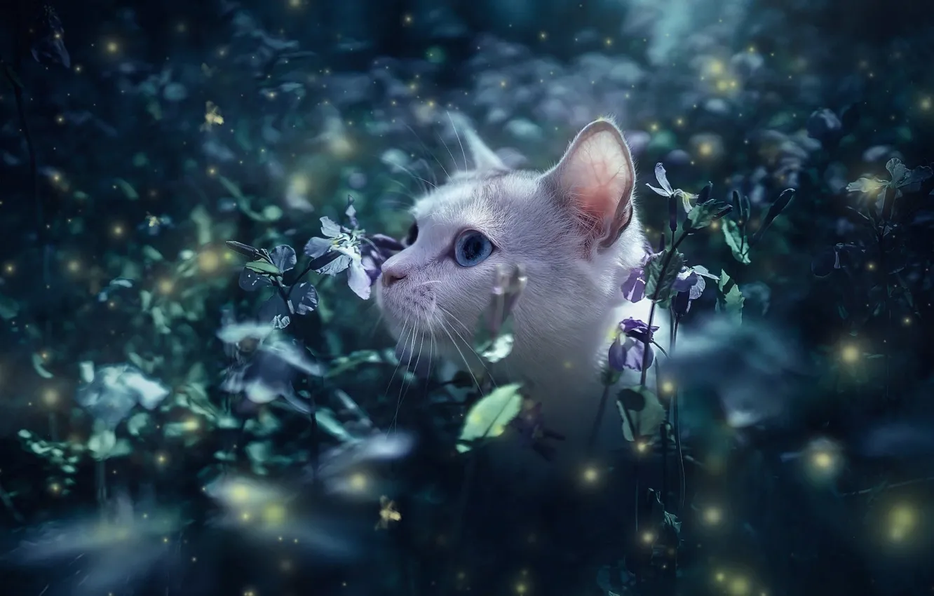 Photo wallpaper cat, cat, leaves, flowers, nature, fireflies, animal, thickets