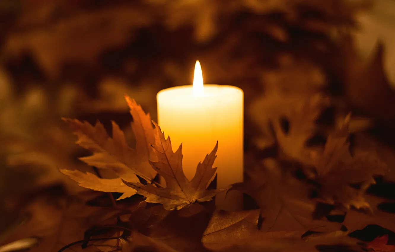 Photo wallpaper autumn, leaves, lights, candles