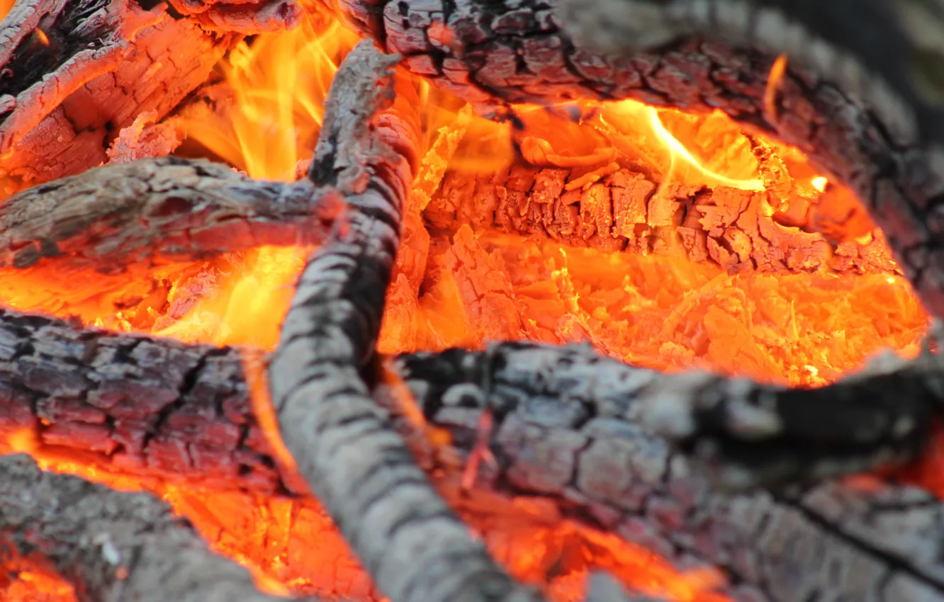Photo wallpaper fire, wood, heat, combustion, firewood, coals