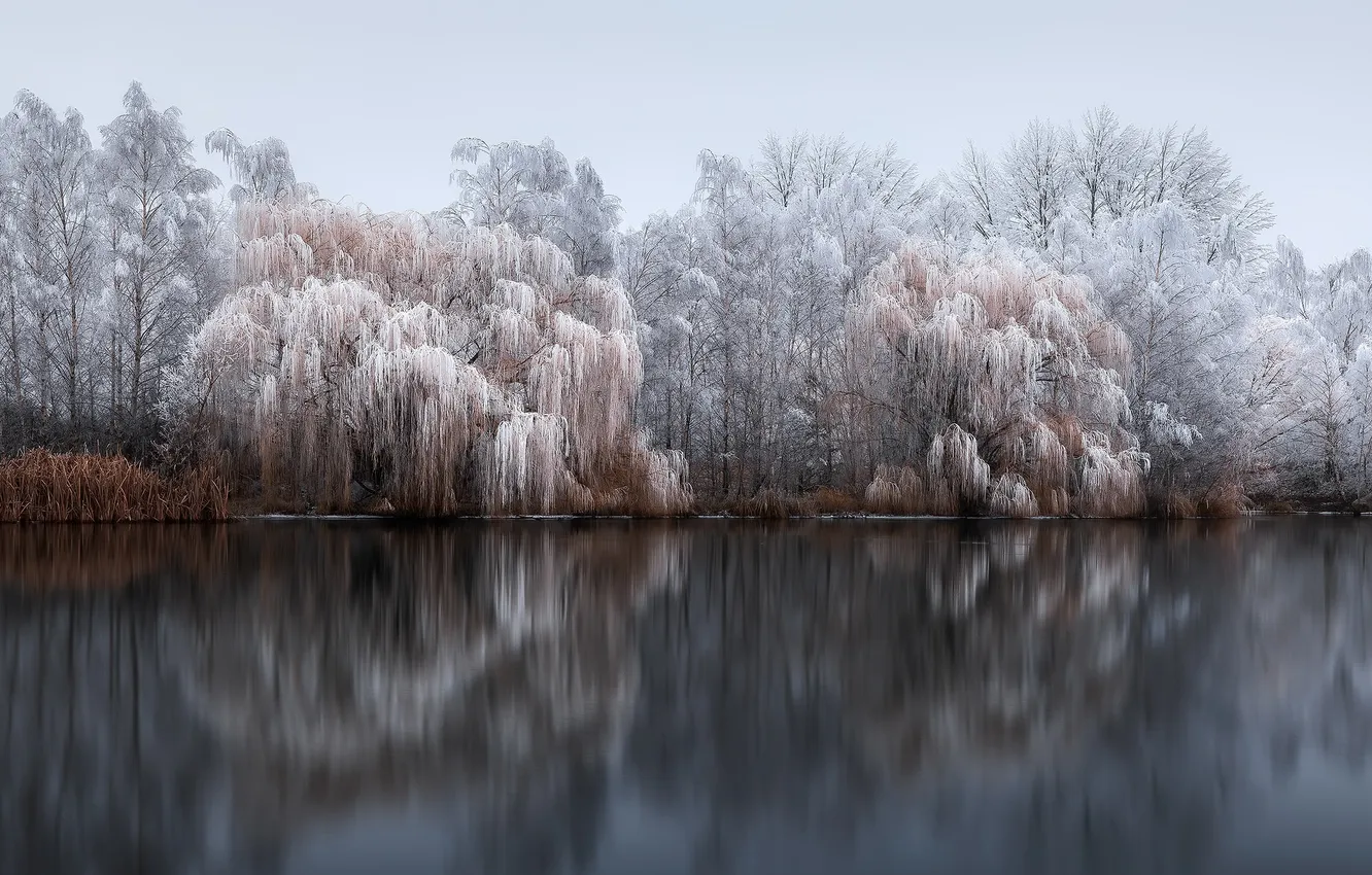 Photo wallpaper frost, lake, Park