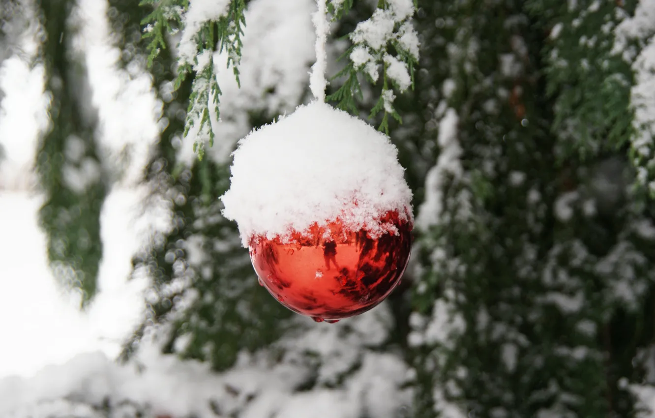 Photo wallpaper snow, branches, reflection, Christmas toy