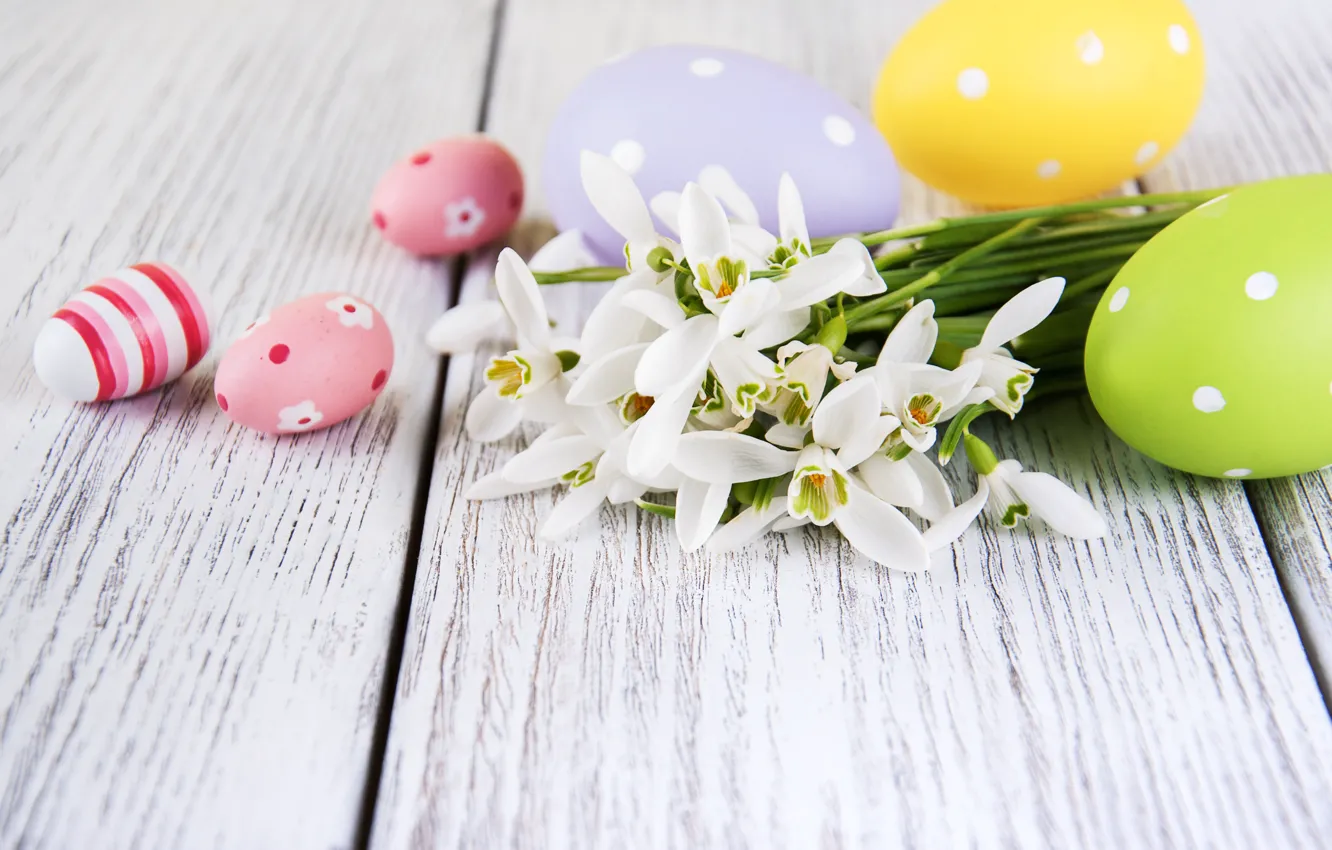 Photo wallpaper flowers, eggs, spring, colorful, snowdrops, Easter, wood, blossom