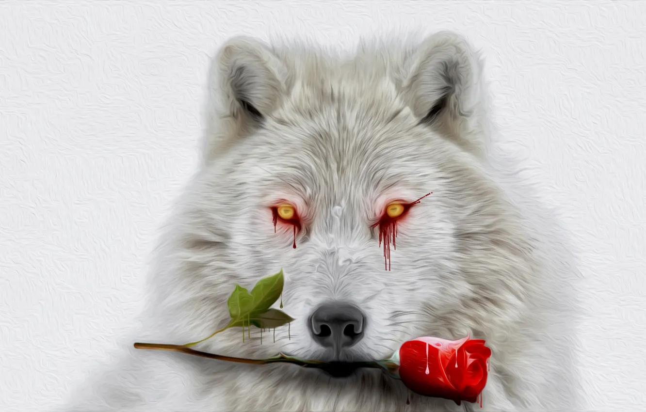 Photo wallpaper white, eyes, blood, rose, wolf