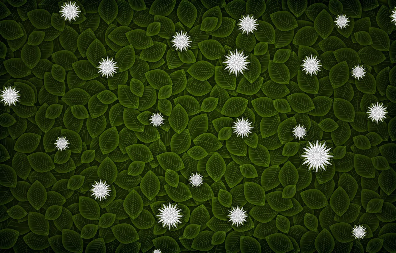Photo wallpaper leaves, flowers, minimalism, vector, 152