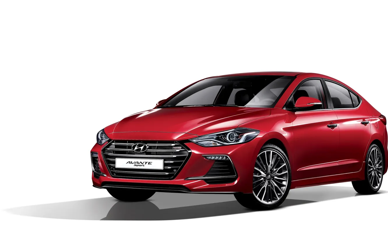 Photo wallpaper white background, Hyundai, Elantra, Hyundai, Elantra, Avante