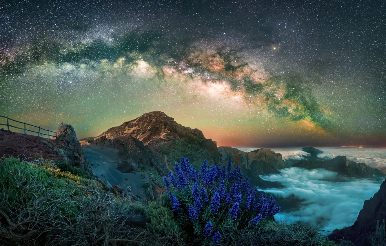 Photo wallpaper the sky, stars, flowers, mountains, night, blue, fog, shore