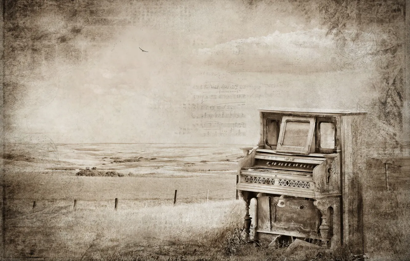 Photo wallpaper vintage, plan, textures