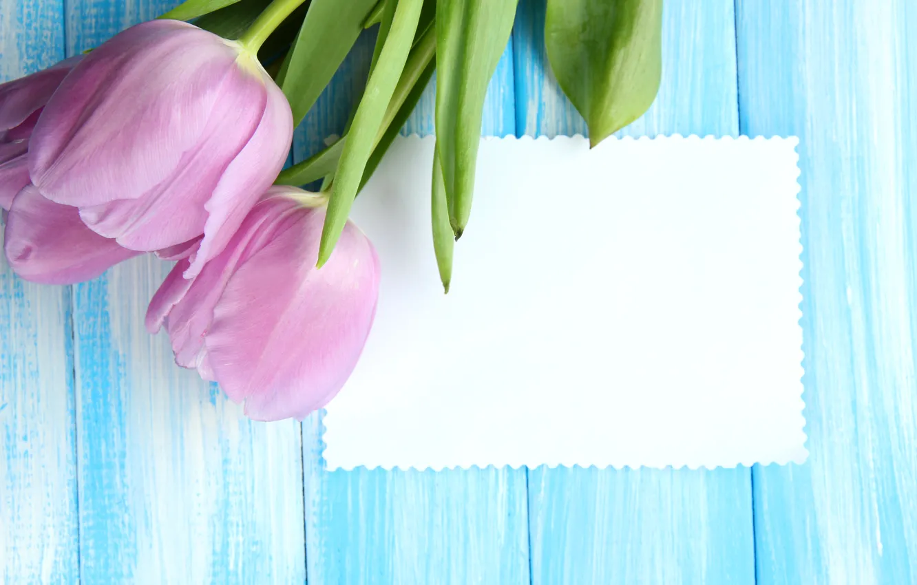 Photo wallpaper flowers, bouquet, tulips, wood, pink, flowers, tulips, postcard