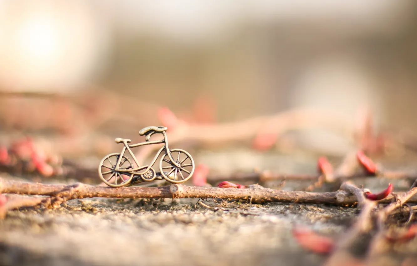 Photo wallpaper bike, background, toy