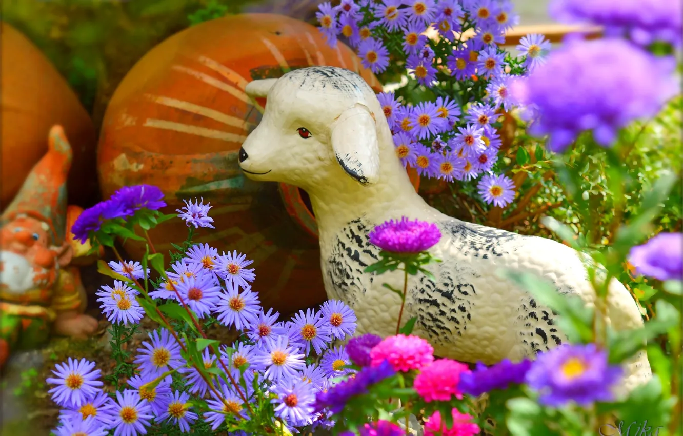 Photo wallpaper flowers, flowers, souvenir, Purple flowers, Purple flowers