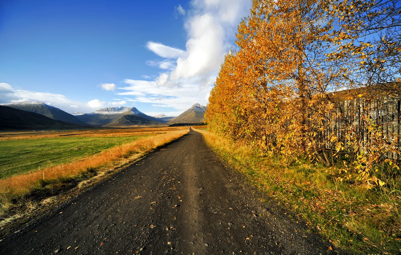Photo wallpaper road, field, autumn, the sky, trees, mountains