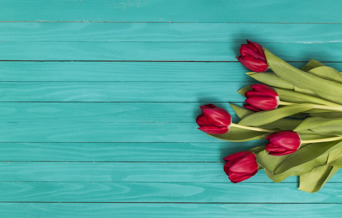 Photo wallpaper green, bouquet, tulips, red, red, flowers, tulip, Ana Lukenda