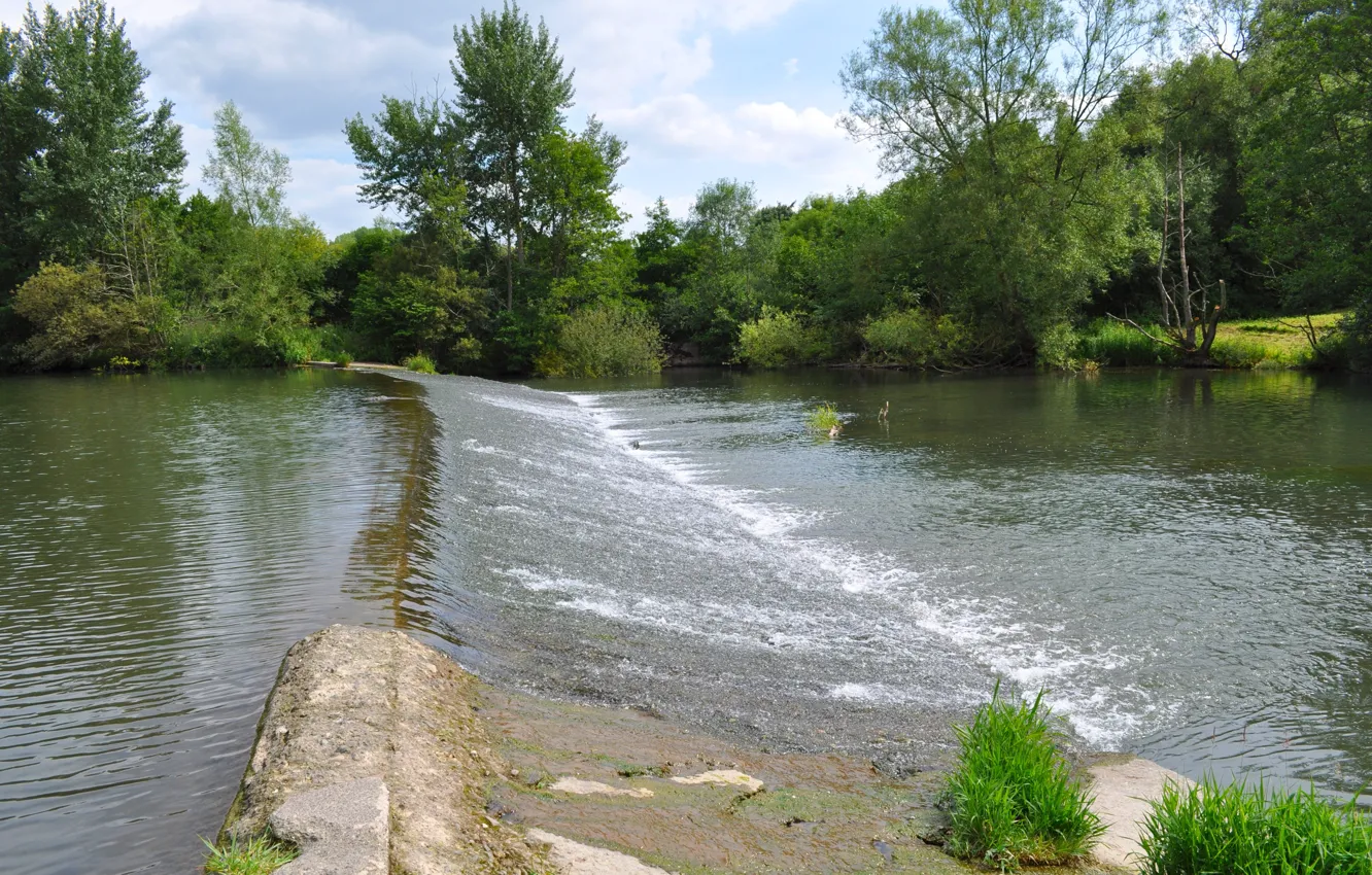 Photo wallpaper trees, river, stream, river, trees, nature