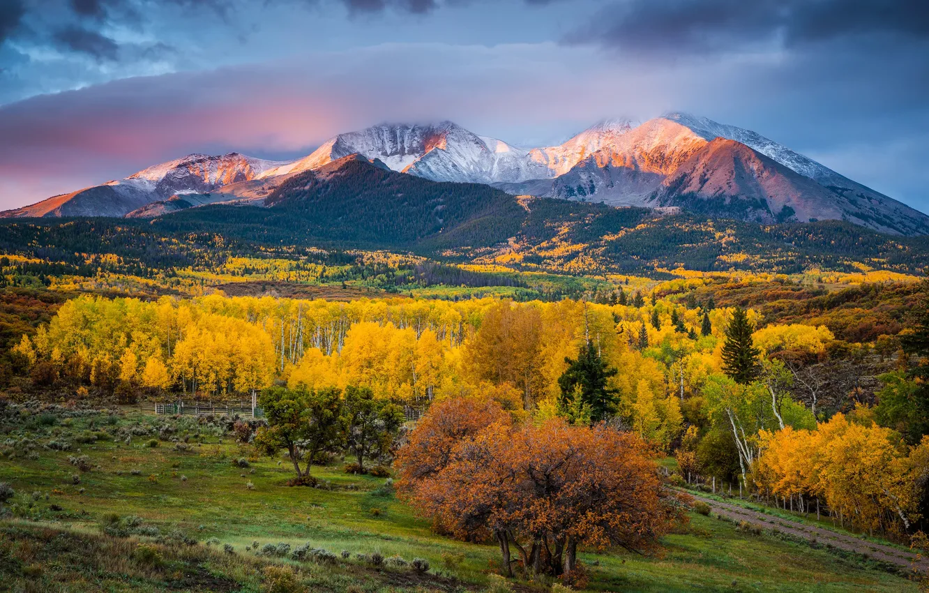 Photo wallpaper autumn, light, trees, mountains, paint, morning, Colorado, USA