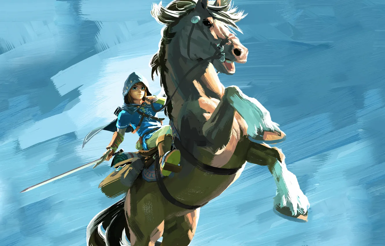 Photo wallpaper game, Nintendo, Link, The Legend of Zelda: Breath of the Wild, Thevideogamegallery.com