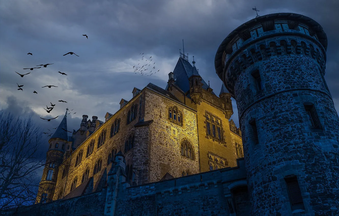 Photo wallpaper castle, bird, tower, Germany, Germany, Saxony-Anhalt, Saxony-Anhalt, Wernigerode