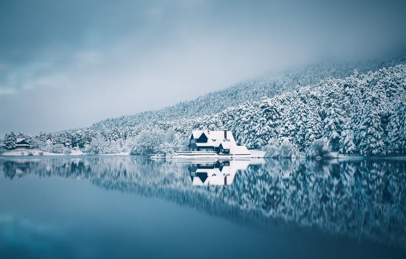 Photo wallpaper winter, forest, the sky, snow, lake, house, reflection