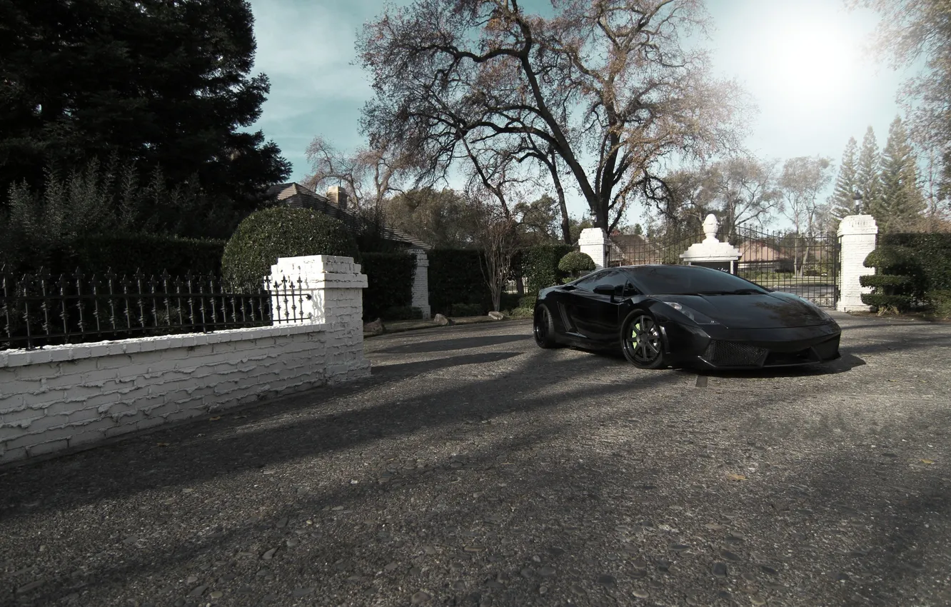 Photo wallpaper the sky, trees, black, the fence, gallardo, lamborghini, black, front view