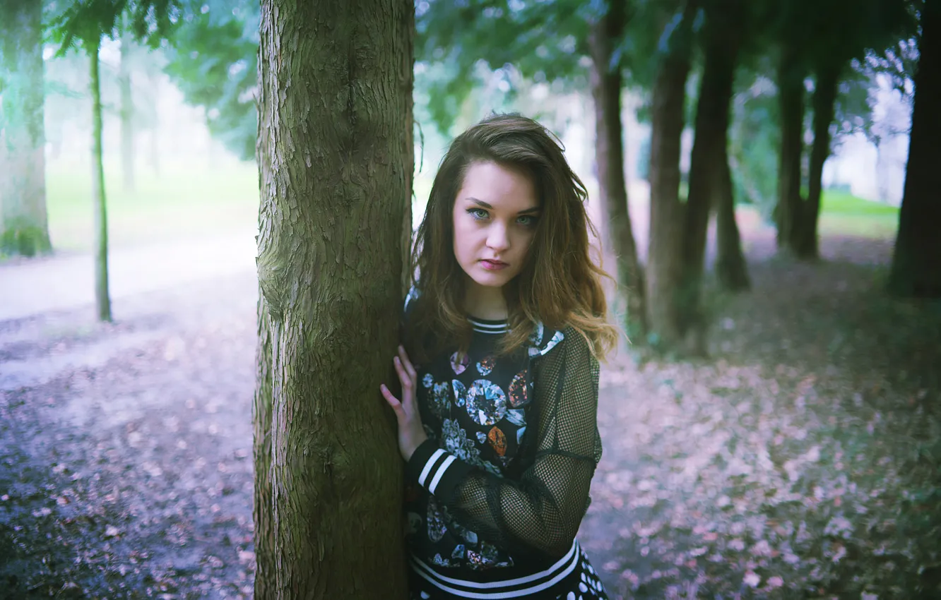 Photo wallpaper look, trees, portrait